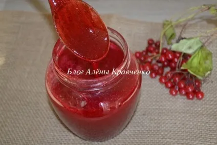 Калина на зиму - рецепти з цукром (протерта, без кісточок, без варіння), блог Олени Кравченко (зиму) Калина на зиму - рецепти з цукром (протерта, без кісточок, без варіння), блог Олени Кравченко