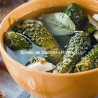 Як солити капусту з яблуками (капусту) Як солити капусту з яблуками