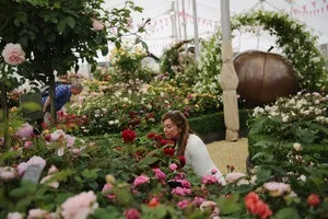 Як зберегти запах парфумів, шампуню на волоссі якомога довше - woman s day (запах) Як зберегти запах парфумів, шампуню на волоссі якомога довше - woman s day