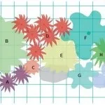 Клумба з астильба, створюємо гарний сад (багаторічники) Клумба з астильба, створюємо гарний сад