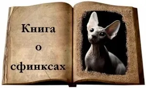Книга про сфінксів основні фізіологічні параметри і система органів сфінксів - донський сфінкс (основні) Книга про сфінксів основні фізіологічні параметри і система органів сфінксів - донський сфінкс
