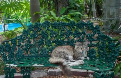 Ключ від тропічного раю, ки-уест, флорида (key west, florida) (флорида) Ключ від тропічного раю, ки-уест, флорида (key west, florida)