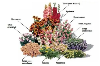 Клумби з багаторічників