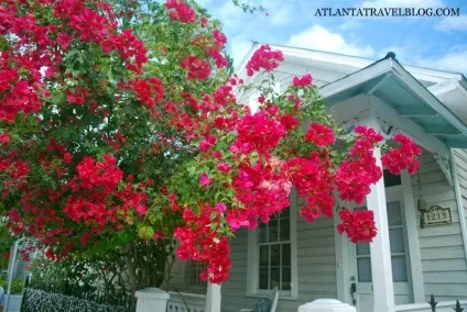 Кі-Вест, флорида, atlanta travel (travel) Кі-Вест, флорида, atlanta travel
