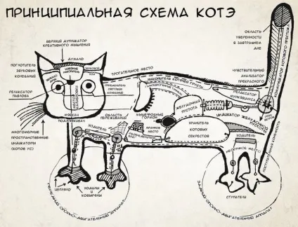 Книга про сфінксів основні фізіологічні параметри і система органів сфінксів - донський сфінкс (сфінксів) Книга про сфінксів основні фізіологічні параметри і система органів сфінксів - донський сфінкс