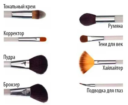 Кисті для макіяжу повний гід по вибору і догляду (макіяжу) Кисті для макіяжу повний гід по вибору і догляду
