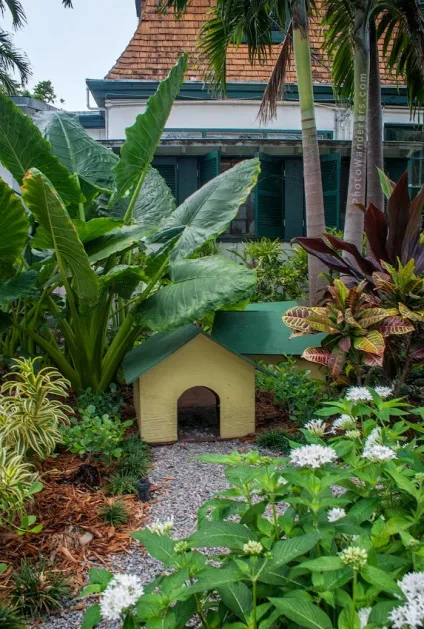 Ключ від тропічного раю, ки-уест, флорида (key west, florida) (тропічного) Ключ від тропічного раю, ки-уест, флорида (key west, florida)