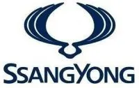 Комп'ютерна діагностика санг енг з виїздом, огляд автомобіля ssangyong перед покупкою, скидання (комп'ютерна) Комп'ютерна діагностика санг енг з виїздом, огляд автомобіля ssangyong перед покупкою, скидання