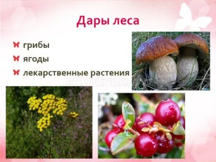 Конспект уроку по предмету «витоки»