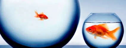 Kpi продажів досвід впровадження і труднощі перекладу (досвід) Kpi продажів досвід впровадження і труднощі перекладу
