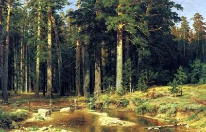 Корабельна гай Івана Шишкіна, сайт присвячений туризму та подорожей (Великого тут заготовляли) Корабельна гай Івана Шишкіна, сайт присвячений туризму і подорожей