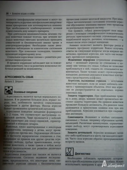 Кішки персидські хвороби