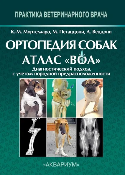 Кішки персидські хвороби