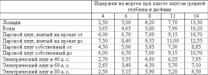 Велике і дрібне господарство