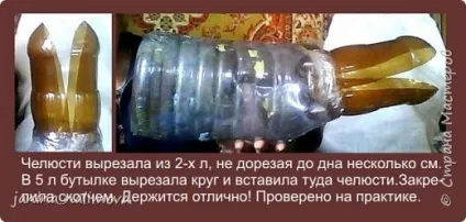 Крокодил з пластикових пляшок (моделювання) Крокодил з пластикових пляшок