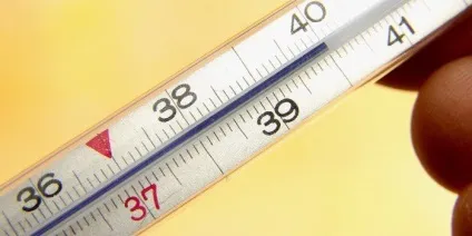 Крупозна пневмонія у дитини або дорослого - стадії і симптоми захворювання, діагностика і терапія (стадії) Крупозна пневмонія у дитини або дорослого - стадії і симптоми захворювання, діагностика і терапія