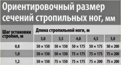 Дах приватного будинку