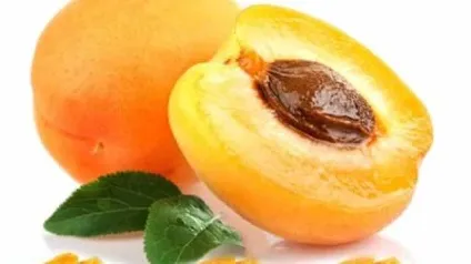 Курага - користь і шкода для чоловіків, жінок, дітей (курага) Курага - користь і шкода для чоловіків, жінок, дітей