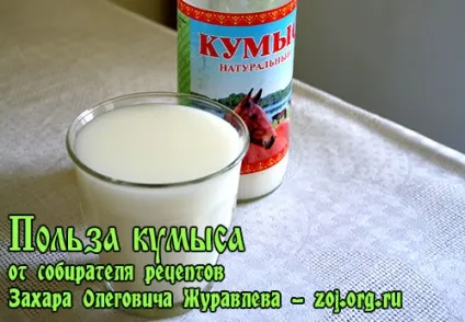 Кумисолеченіе - лікування кумисом, корисні властивості кобилячого молока, лікування в домашніх умовах (молока) Кумисолеченіе - лікування кумисом, корисні властивості кобилячого молока, лікування в домашніх умовах