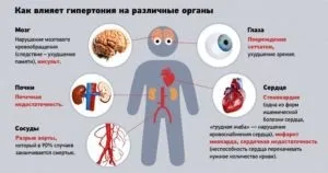 Лікування артеріальної гіпертонії схеми і сучасні препарати (артеріальної) Лікування артеріальної гіпертонії схеми і сучасні препарати