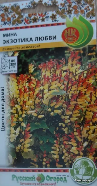 Квамокліт лопатевий (міна)