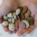 Особисті фінанси! 5 ключових правил фінансової грамотності! (Управляти своїми грошима) Особисті фінанси! 5 ключових правил фінансової грамотності!