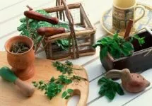 Лікування простатиту сухим голодуванням - лікувальне голодування при простатиті (простатиту) Лікування простатиту сухим голодуванням - лікувальне голодування при простатиті