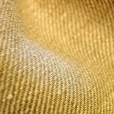 Льон і полулён