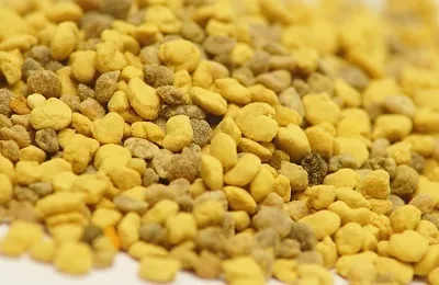 Лікування простатиту бджолиним пилком застосування і рецепти приготування (простатиту) Лікування простатиту бджолиним пилком застосування і рецепти приготування