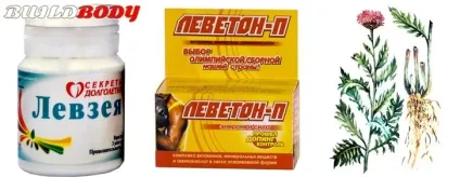 Маралів корінь в бодібілдингу - відгуки, як приймати настоянку (екстракт) (приймати) Маралів корінь в бодібілдингу - відгуки, як приймати настоянку (екстракт)