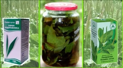 Лікування сечового міхура народними засобами (народними) Лікування сечового міхура народними засобами
