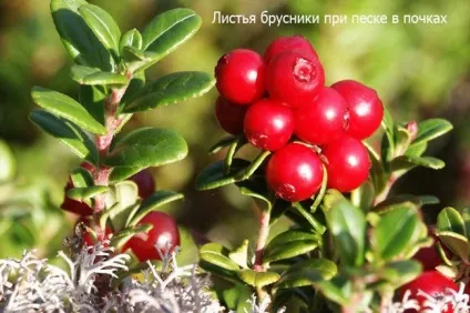 Лікування піску в нирках народними засобами (народними) Лікування піску в нирках народними засобами