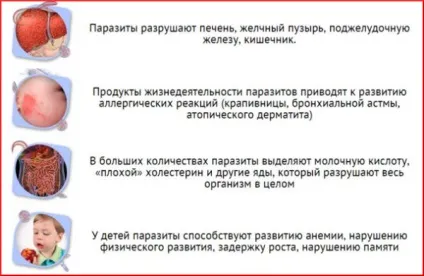 Кращий засіб від паразитів в організмі людини - вибираємо найефективніший (паразитів) Кращий засіб від паразитів в організмі людини - вибираємо найефективніший