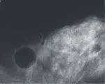 мамологічний центр