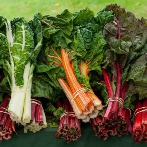 Мангольд користь і шкода для організму, food and health (food) Мангольд користь і шкода для організму, food and health
