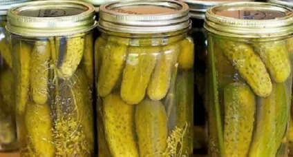 Мариновані огірки 10 рецептів маринованих огірків на зиму асорті (зиму) Мариновані огірки 10 рецептів маринованих огірків на зиму асорті