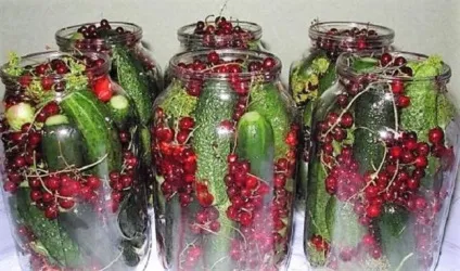 Мариновані огірки 10 рецептів маринованих огірків на зиму асорті (маринованих) Мариновані огірки 10 рецептів маринованих огірків на зиму асорті