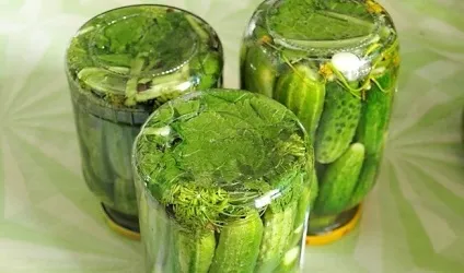 Мариновані огірки 10 рецептів маринованих огірків на зиму асорті (огірки) Мариновані огірки 10 рецептів маринованих огірків на зиму асорті