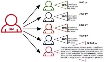 Маркетинг план компанії Виналайт winalite Україна - winalite anion sanitary napkin
