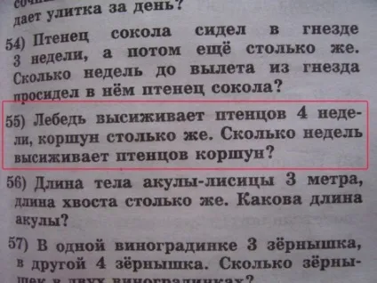 Маразми сучасних підручників або чого навчають у школі (23 фото) (vasi.net) Маразми сучасних підручників або чого навчають у школі (23 фото)