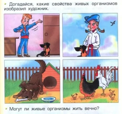 Маразми сучасних підручників або чого навчають у школі (23 фото) (vasi.нет) Маразми сучасних підручників або чого навчають у школі (23 фото)