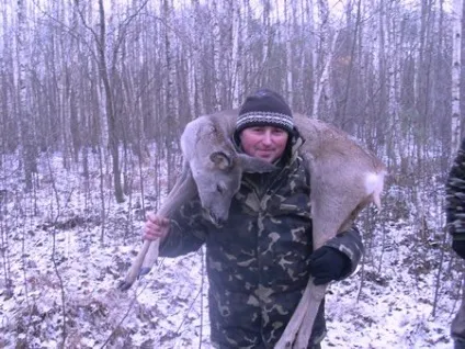 Як ставити петлю на косулю (косулю) Як ставити петлю на косулю