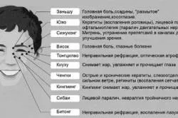 Масаж особи проти зморшок техніка проведення, можливості, рекомендації, відгуки (масаж) Масаж особи проти зморшок техніка проведення, можливості, рекомендації, відгуки