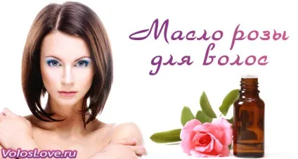 Масло троянди для волосся 8 масок та відгуки про застосування (відгуки) Масло троянди для волосся 8 масок та відгуки про застосування