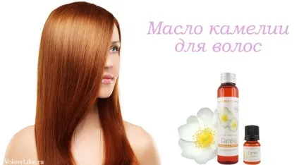 Масло камелії для волосся користь, маски та відгуки (відгуки) Масло камелії для волосся користь, маски та відгуки