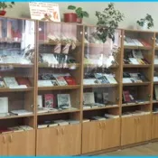 Меблі для шкіл і дитячих садів (шкіл) Меблі для шкіл і дитячих садів
