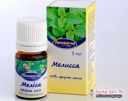 Мелісса корисні властивості і протипоказання (меліса) Мелісса корисні властивості і протипоказання