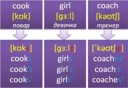 Множина і присвійний відмінок іменників в англійській мові (genitive in english) Множина і присвійний відмінок іменників в англійській мові
