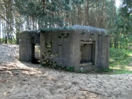 Міф про «лінії Молотова»