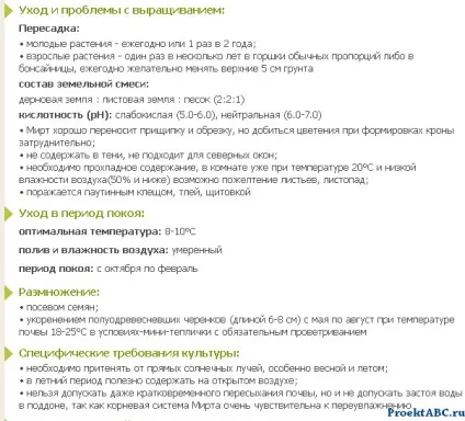 Мирт - догляд в домашніх умовах (догляд) Мирт - догляд в домашніх умовах
